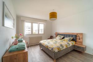 Cosy apartment on Strasbourg tramway line