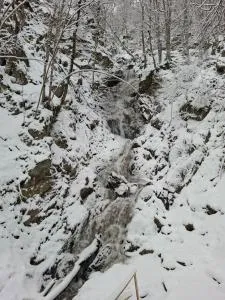 Kopaonik Foka - Mramor