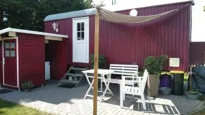 Bauwagen "Rhumeblüte" - Rhumspringe