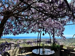 Il noceto dell'Etna - Milo