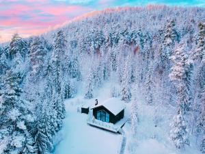 Newly built cabin with sauna, fireplace and amazing view