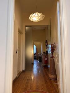 Welcome to Città Studi