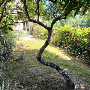 Maisons de vacances joli gite plain pied : photos des chambres