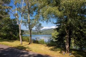 Campings Domaine Residentiel de Plein Air La Plage : photos des chambres