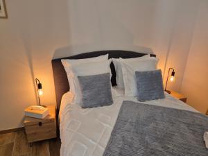 Appartements Le Studio des Caves de la Tour du Roy : photos des chambres