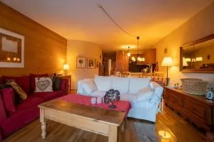 Anémone 11 - 2 chambres cosy, balcon plein sud avec vue sur les montagnes - Gryon