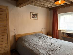 Maison moderne et chaleureuse au cœur du village avec mezzanine et poêle à bois - FR-1-548-26