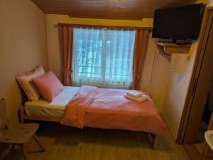 Single Room room in Hotel Schützen Lauterbrunnen