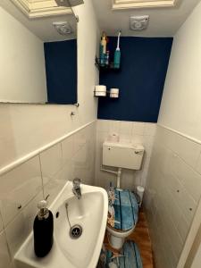 Hyde Park studio flat