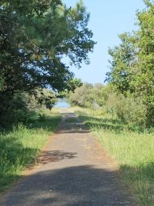 Villas Grande maison entre Lac et foret : photos des chambres