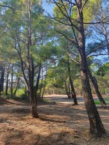 Traumhafte Wohnung mit Meerblick in Sutomore