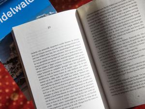 Apartment Chalet Abendrot apARTments-15 by Interhome