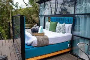 The Stargazing Cube - Misty Mountain Reserve - Stormsriviermond