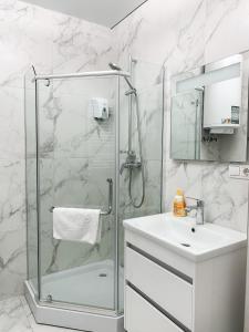 Apartments Domovik Mira 11s20