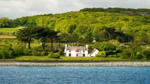 Mount Vernon, Flaggy Shore, County Clare - Turlough