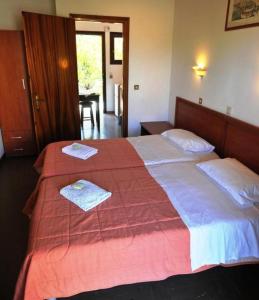 SEAHORSE healing effect