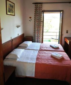 SEAHORSE healing effect