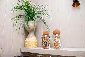 The Cacoon Tsitsikamma