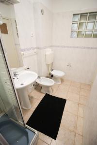 Oriente DNA Studios III