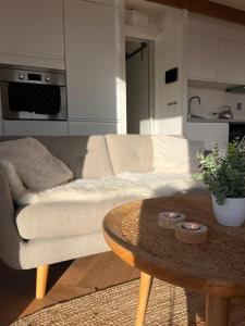 Luxury Houseboat Liberdade with sauna and dinghy