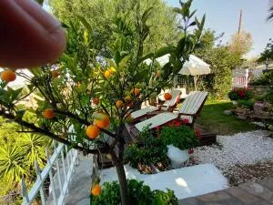 Nikos Stone House 80m from the beach with wifi - 基拉奇尼