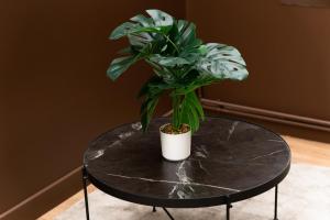 Appartements L-escale - Proche ORLY - Paris - RER C : photos des chambres