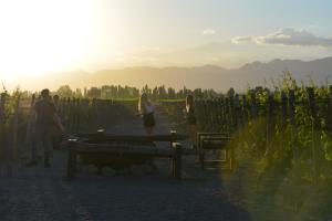 Viamonte Winery Lodge