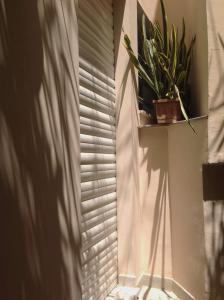 Bungalow Carthage pool access