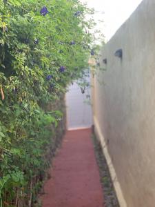 Suíte 02 Veredas do Patacho