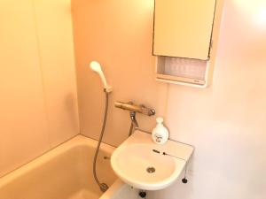 桜並木と航空公園の近くにある閑静なお部屋 最大5名 t10