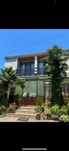 PAPILLON - 查克维 PAPILLON - 查克维