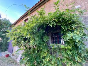 Domaine Lavau - Gîte LArtisane