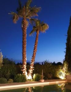 Villas CalypSo Luxury Mas Madeleine : photos des chambres