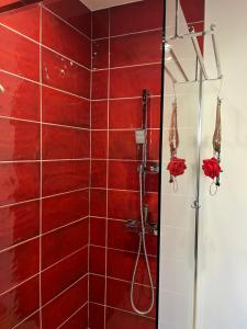 Appartements La Novela, Maison de Village Rooftop : photos des chambres