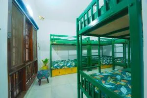 House of Stories - Whitefield