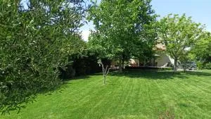 Melody Birds - Dhíkella