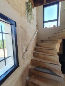 Villas CalypSo Luxury Mas Madeleine : photos des chambres