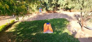 Quinta El Cocula camping, cabañas y eventos