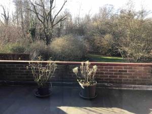 Cosy attic apartment, terrace, 1 bedroom south