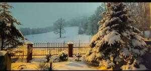 Gorski Widok Karpacz Apartamenty i Pokoje- Salon Kominkowy