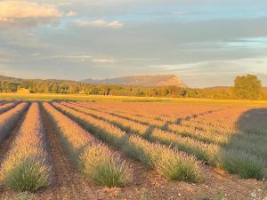 Appartements Duplex independant avec clim et parking : Appartement 1 Chambre