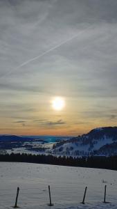 Hotels Hotel Perdrix : photos des chambres