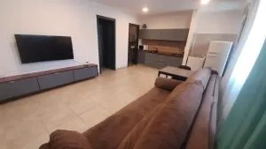 Tres chihuahuas 2 - Moreno