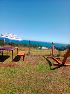 Cabaña entre árboles Carretera Austral