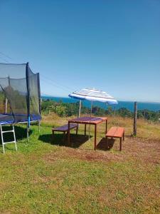 Cabaña entre árboles Carretera Austral