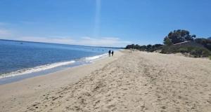 Appartements Studio accueillant a San-Nicolao avec vue mer, 27 m² : photos des chambres