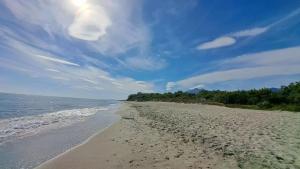 Appartements Studio accueillant a San-Nicolao avec vue mer, 27 m² : photos des chambres