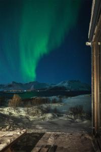 Designhytte med jacuzzi sentralt i Lofoten