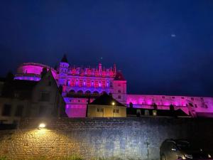 Appartements Les pieds dans le Chateau - Jacuzzi : Appartement Deluxe