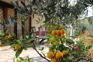 APARTMAN PAGANOR